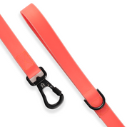 Correa para perro impermeable - CORAL