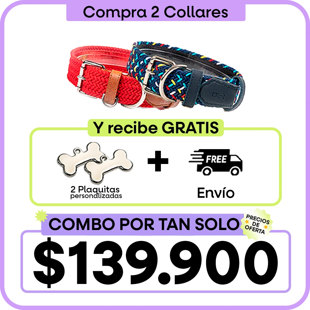 Collar trenzado para perros - LDG #4  OFERTAS