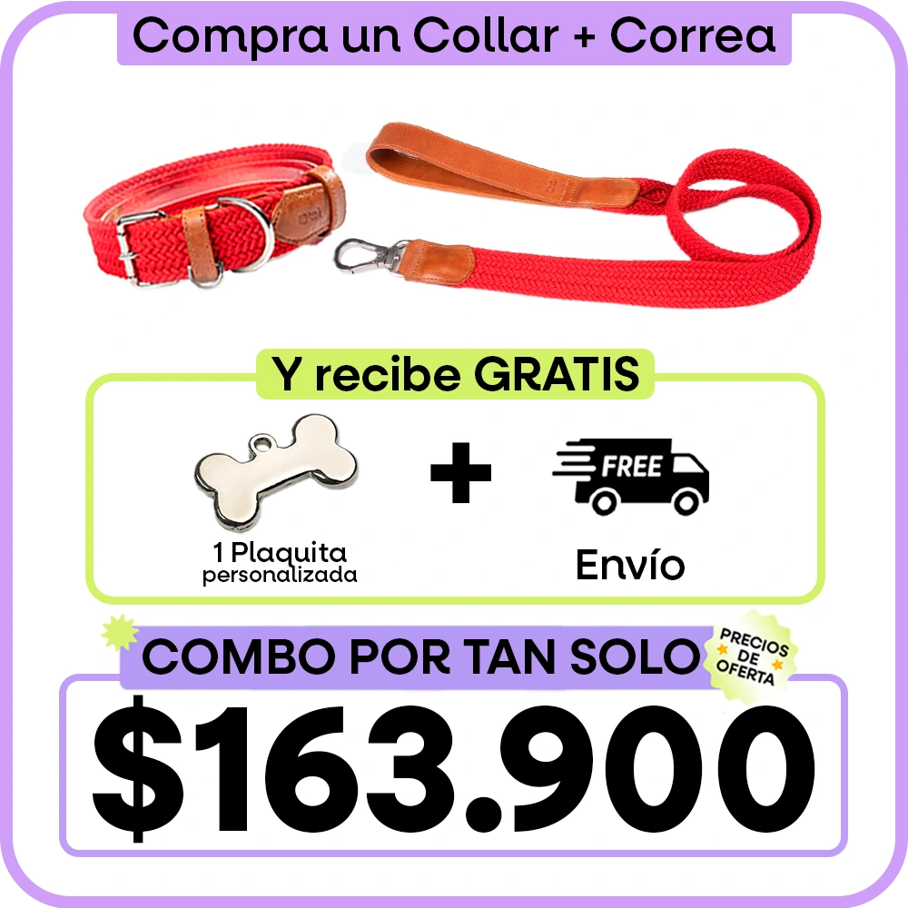 1x1_Promo_2.webp