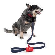 Correa para perro impermeable - ÍNDIGO