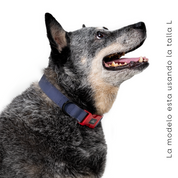 Collar para perro Impermeable  - ÍNDIGO