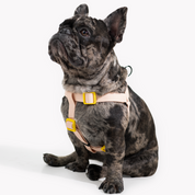 Arnés para perro impermeable - Pink