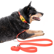 Correa para perro impermeable - CORAL