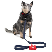 Correa para perro impermeable - ÍNDIGO