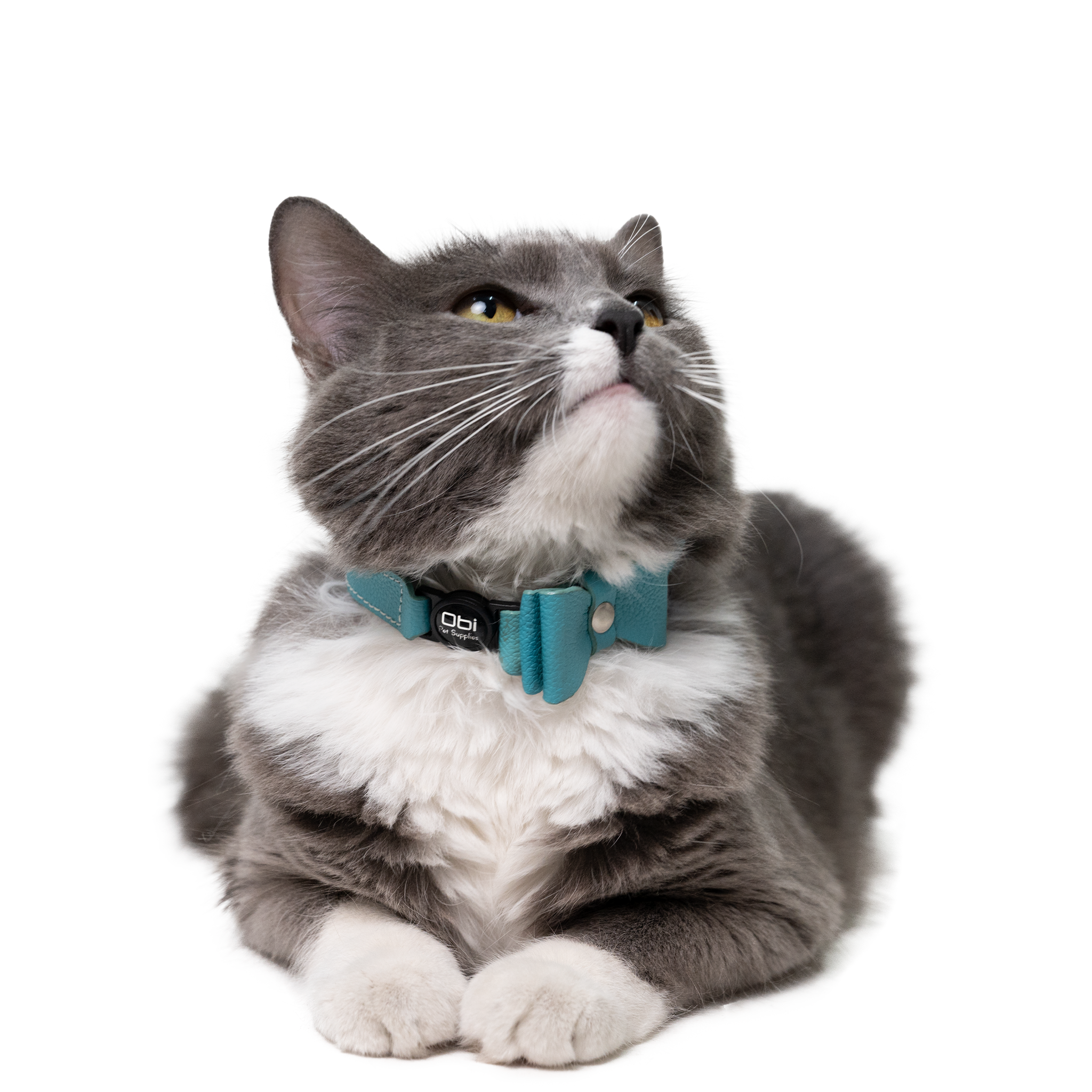 Collar antiahogo en cuero para gato  - KENNY TURQUESA