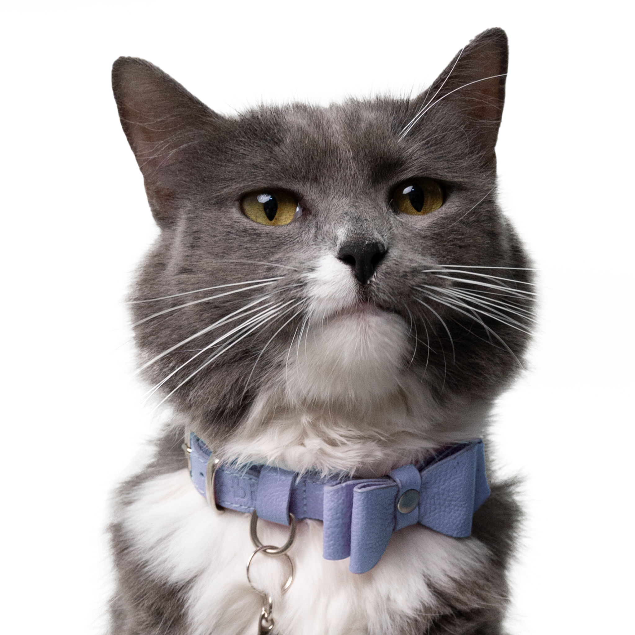 Collar antiahogo en cuero para gato  - KENNY LAVANDA