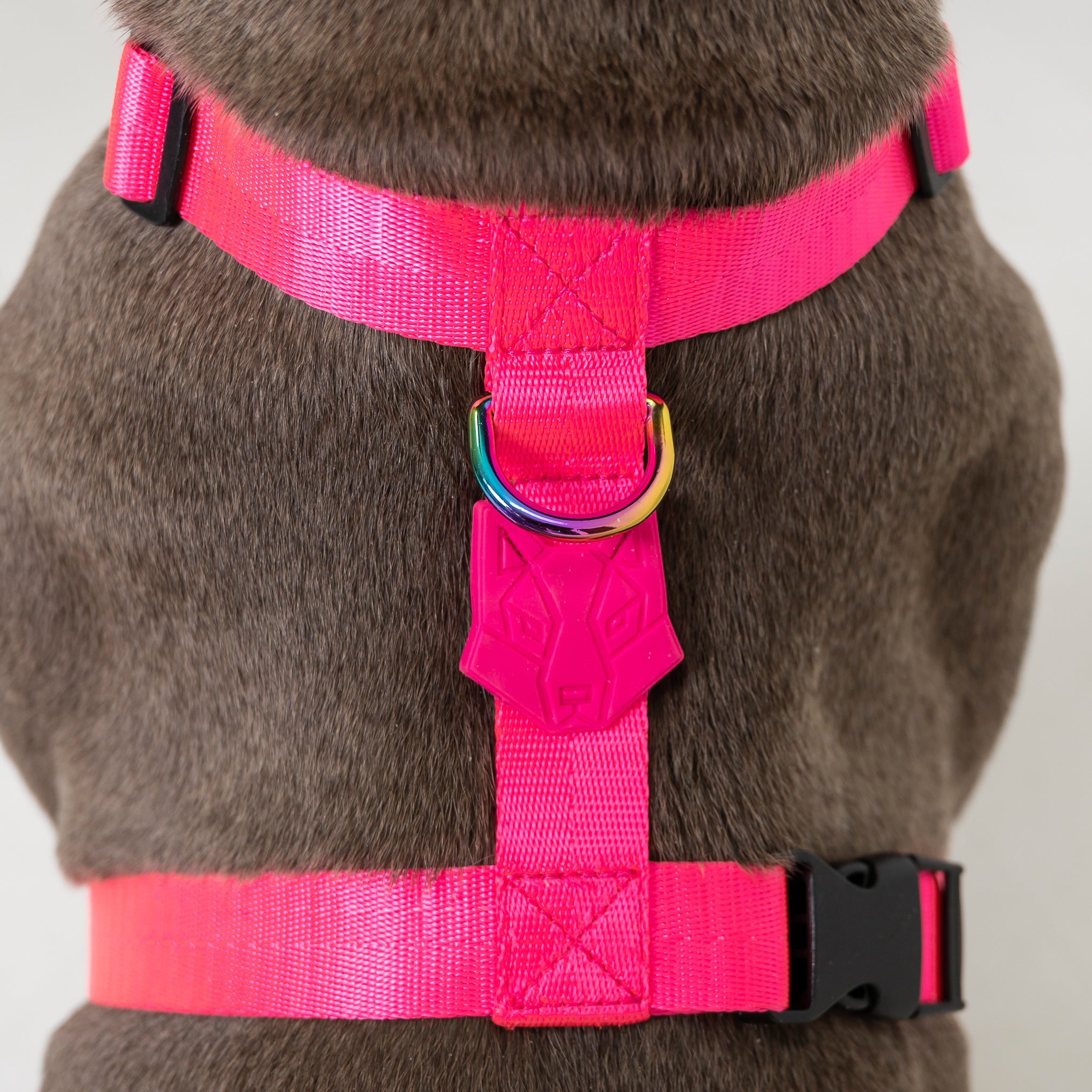 Arnés para perro - SAZZU NEON FUCHSIA