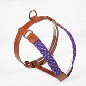 Arnés para perro trenzado - ENZZO VIOLETA