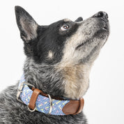 Collar para perro trenzado  - CLOE CANDY