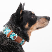 Collar para perro trenzado - CLOE CIAN