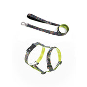 COMBO arnés + correa para perro estampado - CANVAS