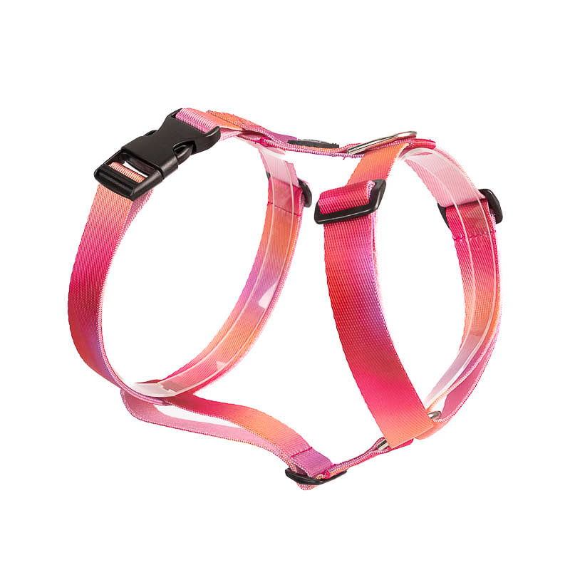 COMBOCORREA_ARNESPINKLIGHTS1.4.jpg