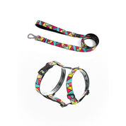 COMBO arnés + correa para perro estampado - POP ART