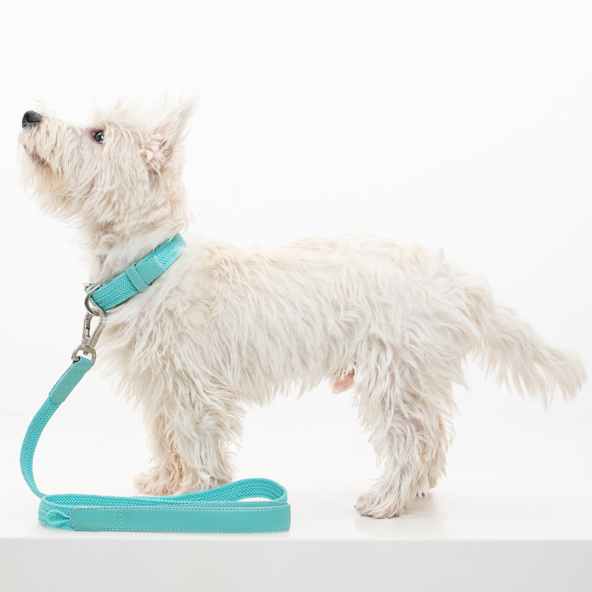 Correa para perro trenzada - RUFO AQUA