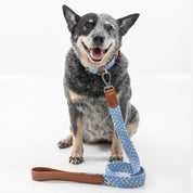 Correa para perro trenzada - RUFO CANDY