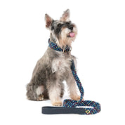 COMBO  Collar + correa para perro - BLUEMARINE