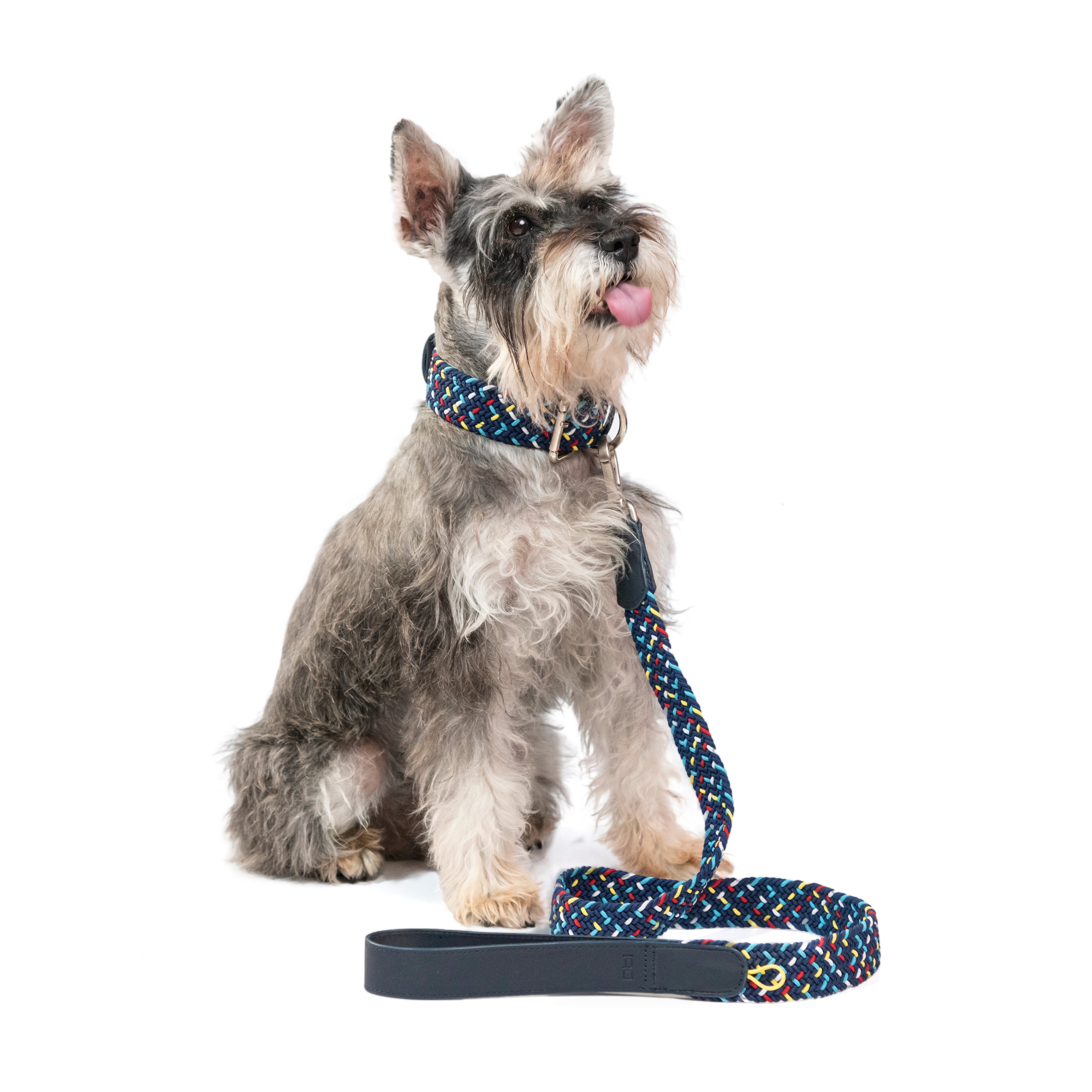COMBO  Collar + correa para perro - BLUEMARINE