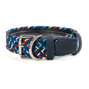 COMBO  Collar + correa para perro - BLUEMARINE