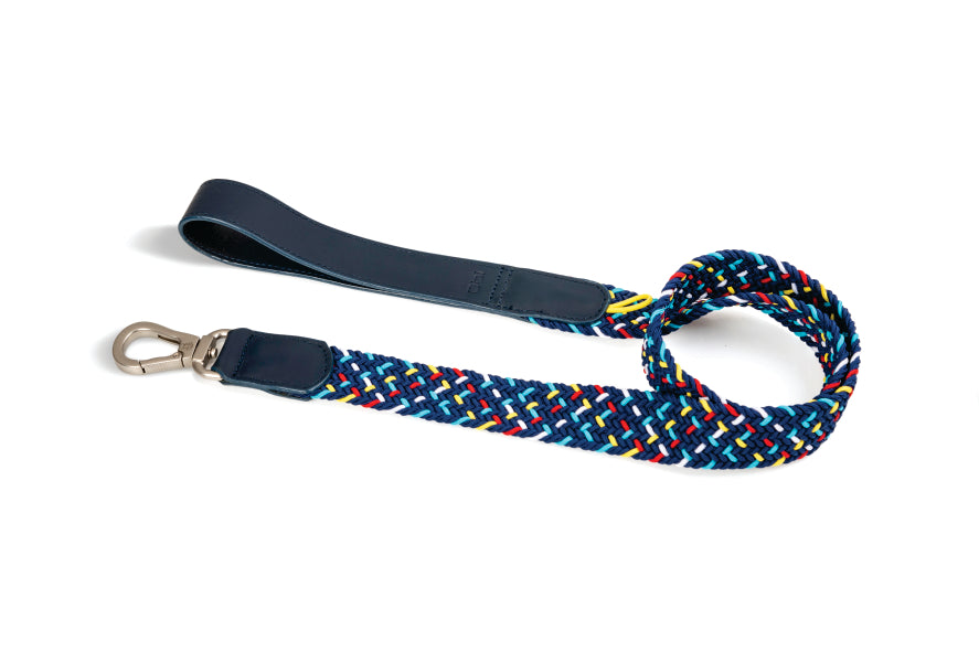 COMBO  Collar + correa para perro - BLUEMARINE