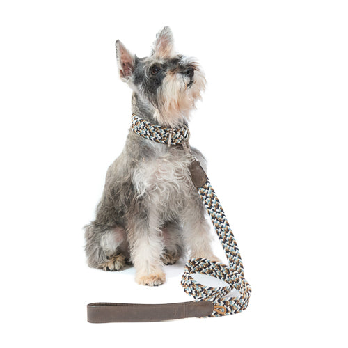 COMBO collar + correa para perro - FUNFOX