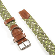 COMBO  collar + correa trenzado para perro- OLIVE