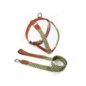 COMBO arnés + correa trenzado para perro - OLIVE