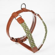 COMBO arnés + correa trenzado para perro - OLIVE
