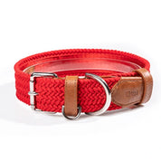 Collar trenzado para perros - LDG #4  OFERTAS