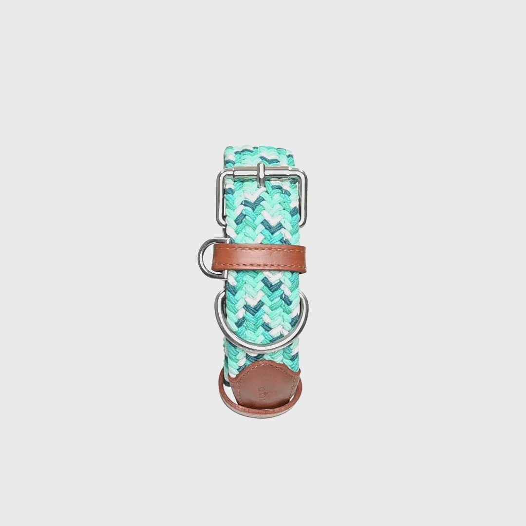 Collar para perro trenzado - CLOE CIAN