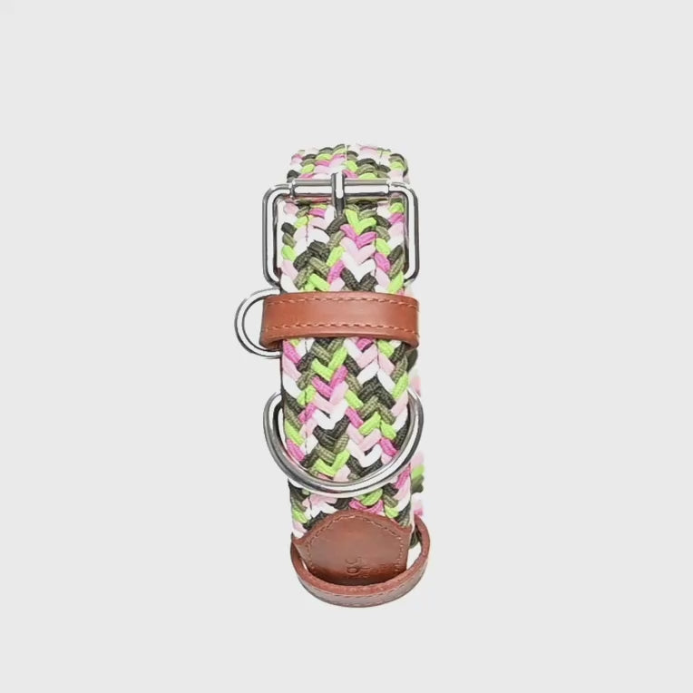 Collar para perro trenzado - CLOE JUNGLE