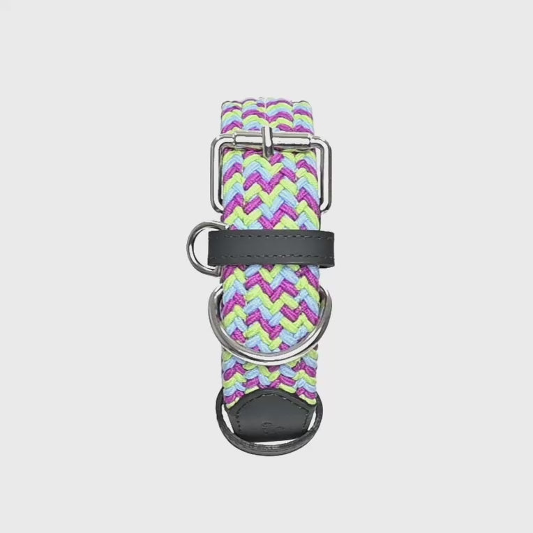 Collar para perro trenzado - CLOE TRICK