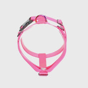 Arnés para perro - SAZZU NEON FUCHSIA