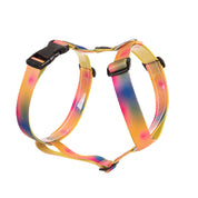 Arnés para perro estampado - SAZZU LIME LIGHTS