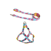 Arnés y correa para perro estampado - YUMMY