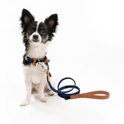 Correa para perro trenzada - RUFO NAVY