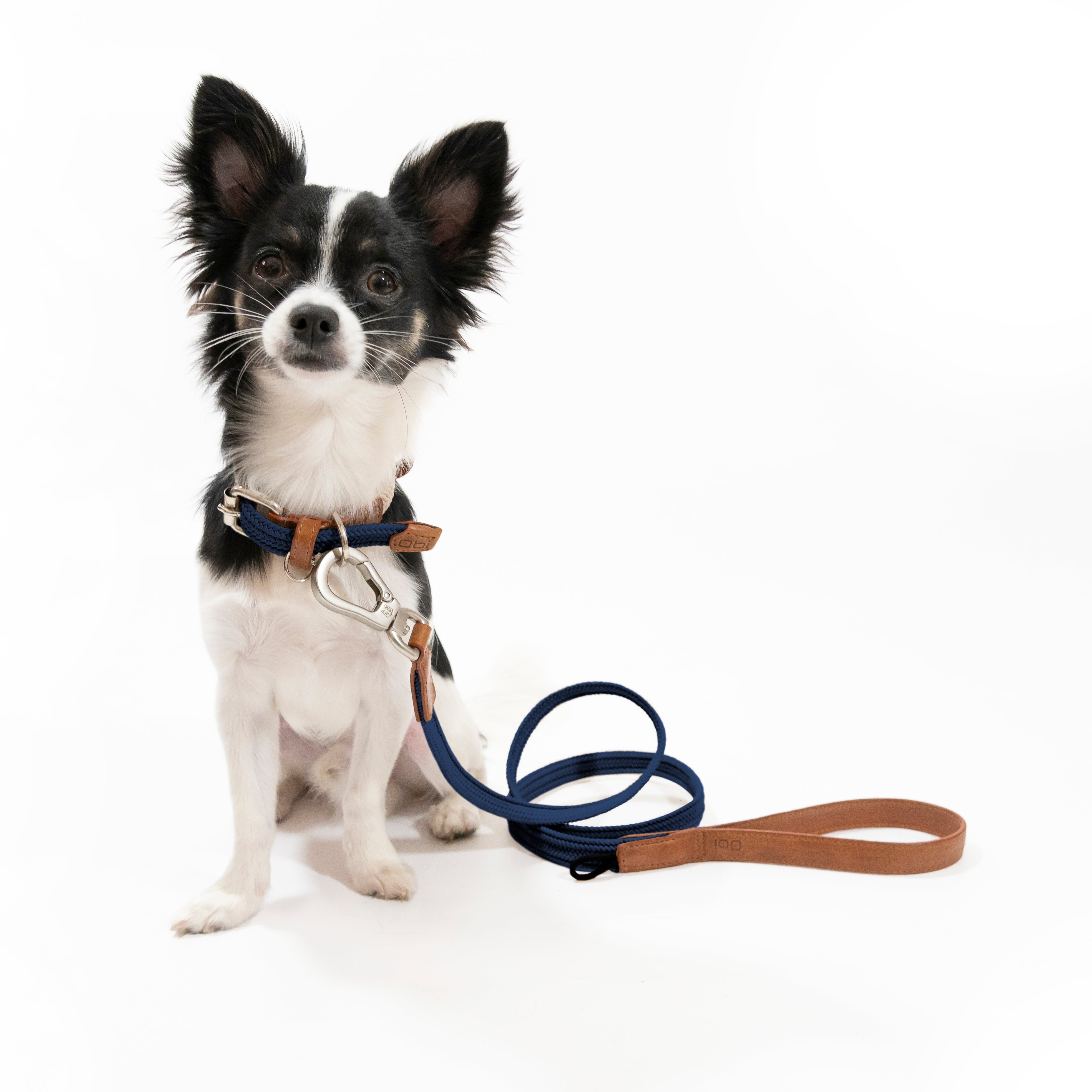 Correa para perro trenzada - RUFO NAVY