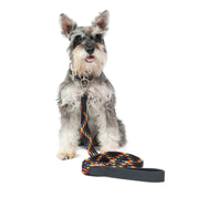 Correa para perro trenzada - RUFO RAINBOW