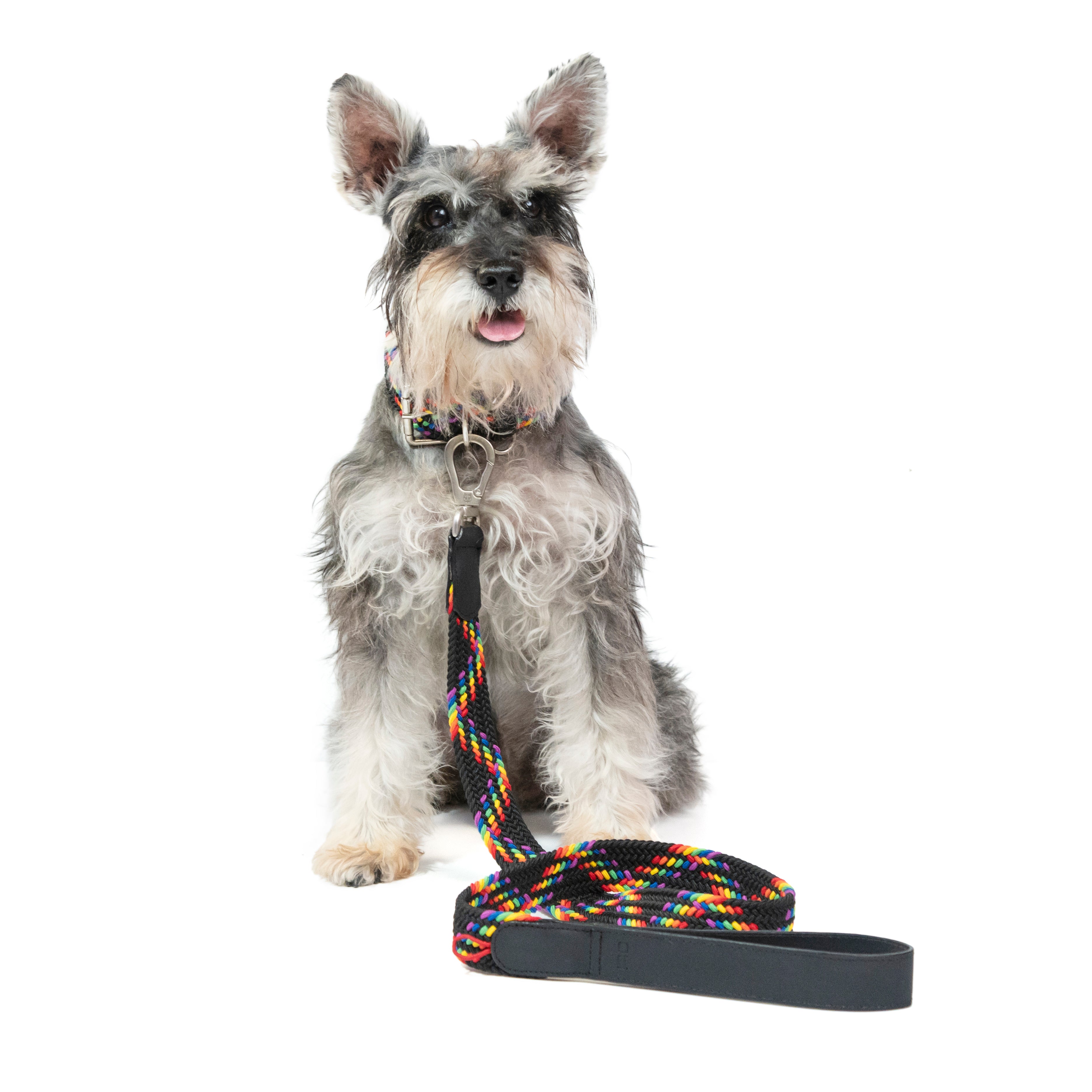 Correa para perro trenzada - RUFO RAINBOW