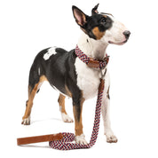 COMBO  collar + correa trenzado para perro - NAUTICO