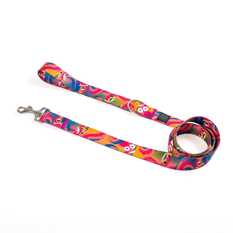 Arnés y correa para perro estampado - MONSTER FIRE