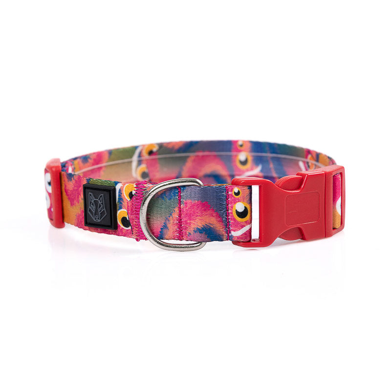Collar y correa para perros estampado - MONSTER FIRE
