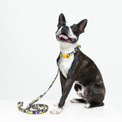 Collar y correa para perros estampado - MONSTER GRINCH