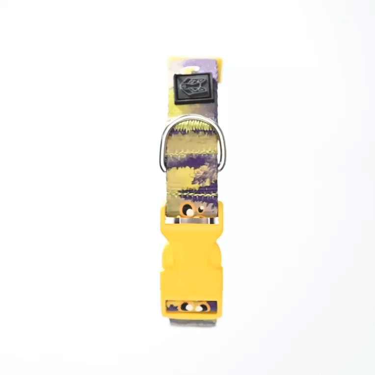 Collar y correa para perros estampado - MONSTER GRINCH
