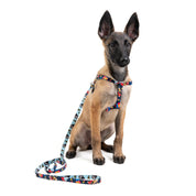 Arnés y correa para perros estampado - CARIBE