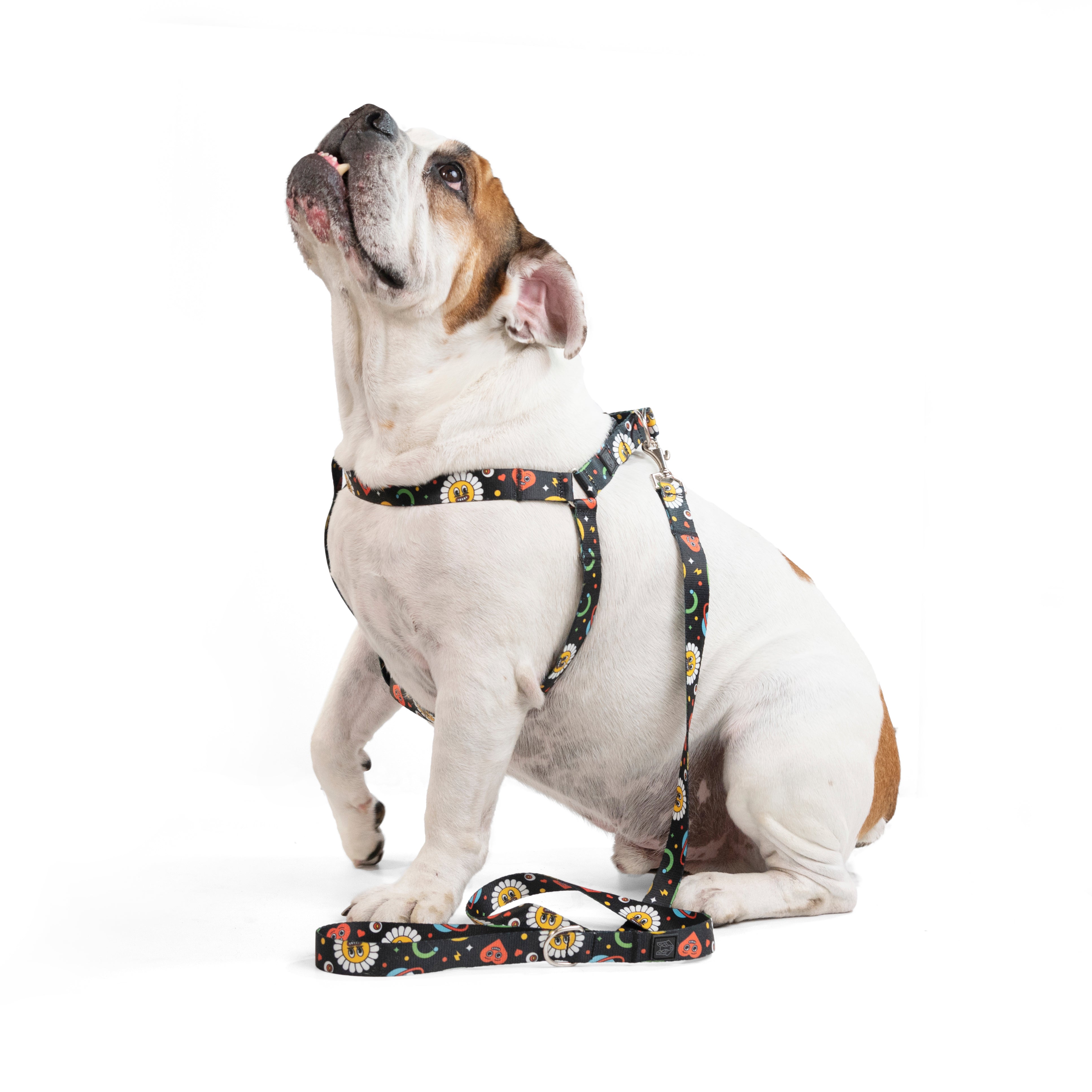 Arnés y correa para perros estampado - SPACE