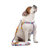 Arnés y correa para perro estampado - YUMMY