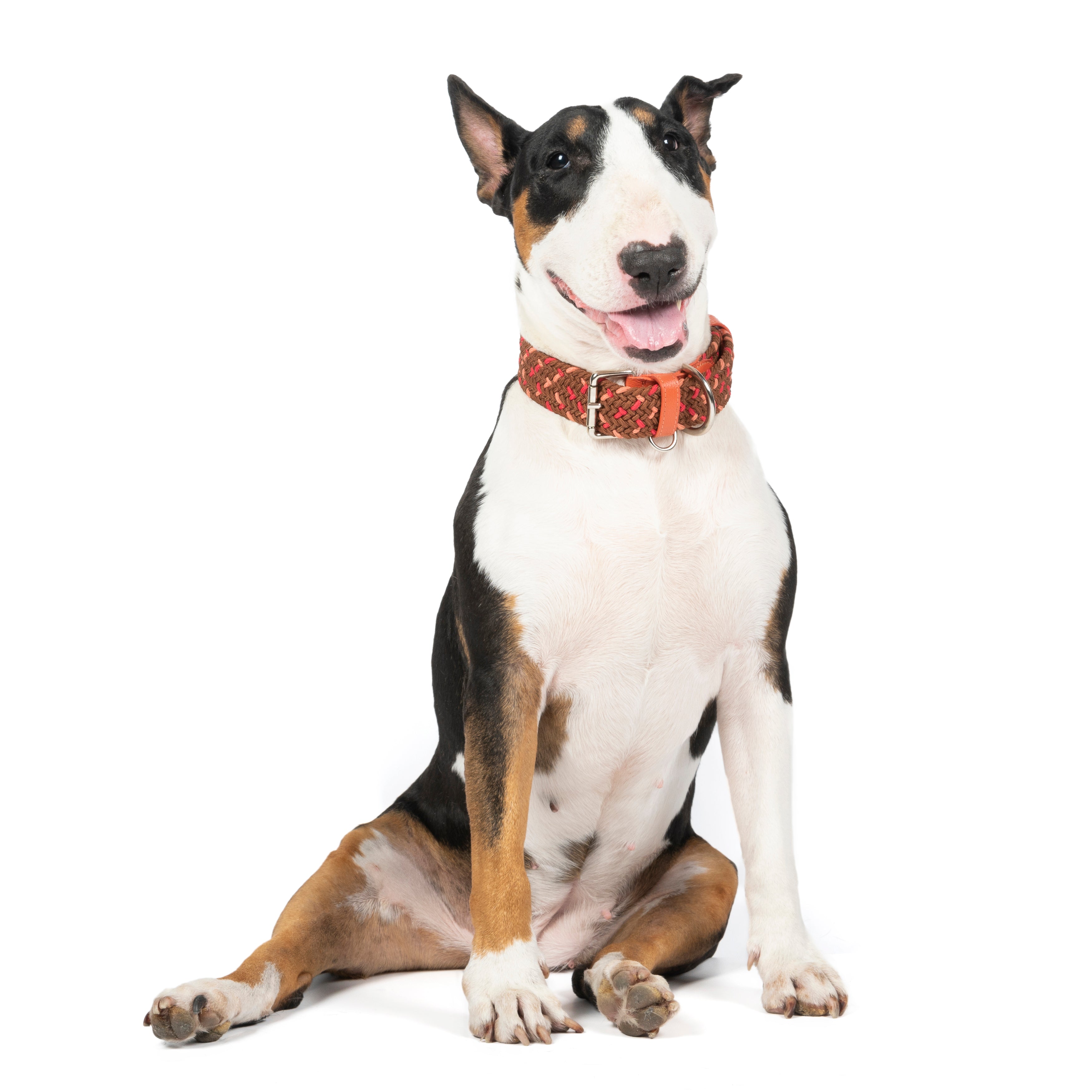 cloe-cereza-01_a7bd8247-6e4f-4fa2-89f1-89516196bf05.jpg