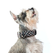 Collar para perro trenzado - CLOE NEOPINK