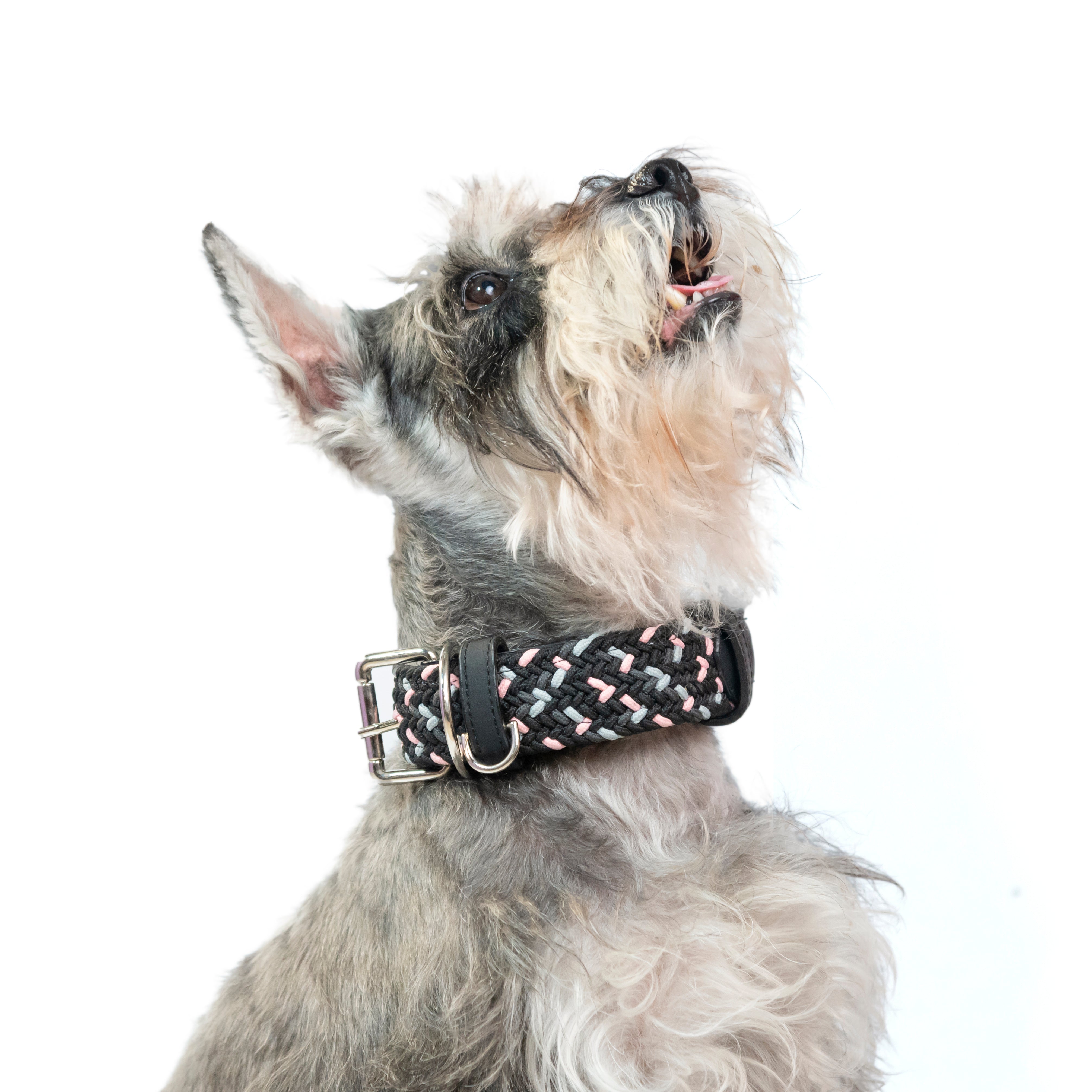 Collar para perro trenzado - CLOE NEOPINK