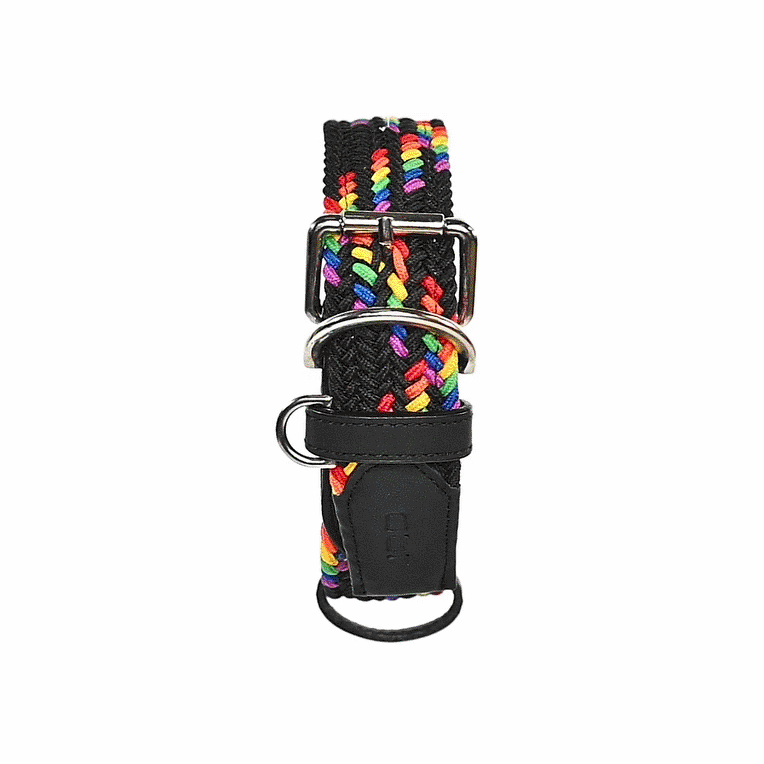 Collar para perro trenzado - CLOE RAINBOW